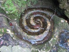 an image of a spiral in the mossy rock wall that looks like it's going to fall down