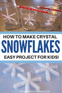 how to make crystal snowflakes easy project for kids with pictures and instructions on how to make them