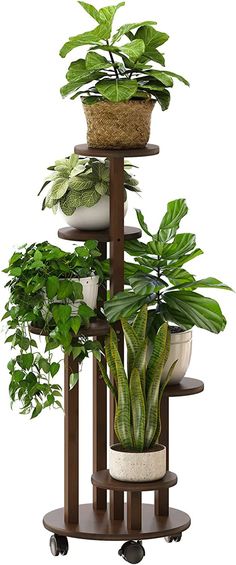 three tiered plant stand with potted plants