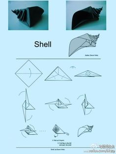 the instructions for how to make an origami shell with pictures and text on it