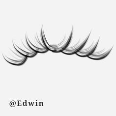 an image of eyelashes with the words edwin on it's front and back side