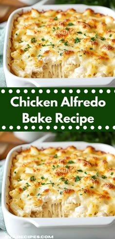 chicken alfredo bake recipe in a white casserole dish