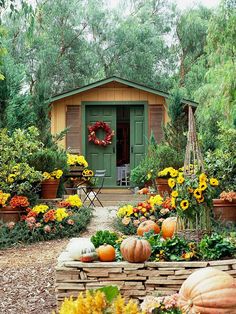 happy fall y'all greeting card with pumpkins and flowers in front of a house