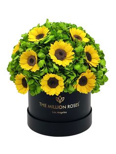 sunflowers in a black box with the million roses logo on it's side