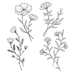 three different types of flowers are shown in this black and white drawing, with one flower on