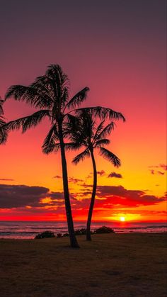 two palm trees are silhouetted against an orange and pink sunset on the ocean shore