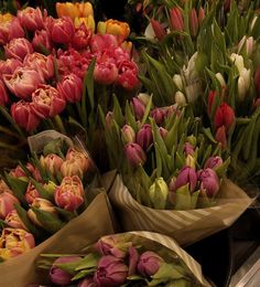 #flowers #tulip #цветы Tulips Astethic, Fresh Flowers Aesthetic, Aesthetic Flower Bouquet, Tulip Aesthetic, Tulips Aesthetic, Valentines Day Flowers, Flower Aesthetics, Flower Bunches, Fresh Tulips