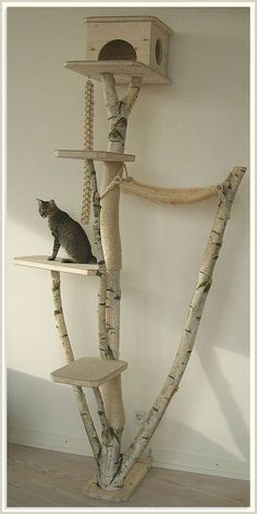 Let your furry friend's imagination run wild with a tree from Amazon. Buy now! Cat Towers, Ideal Toys, Cat Enclosure, Cat Condo, Cat Tower