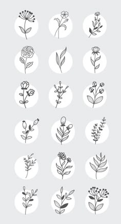 the different types of flowers are shown in black and white on a light gray background