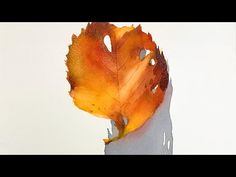 an orange and yellow leaf is shown in this artistic photo with watercolors on paper