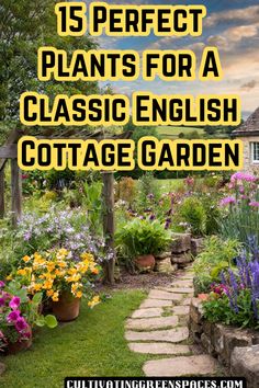 an english cottage garden with flowers in the foreground and text overlay that reads 15 perfect plants for a classic english cottage garden