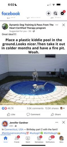 an image of a dog in a pool with the caption that reads, place a plastic kiddie pool in the ground looks like then take it out