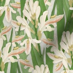 white flowers and green leaves on a light colored background