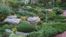 a garden filled with lots of different types of flowers and plants next to a building