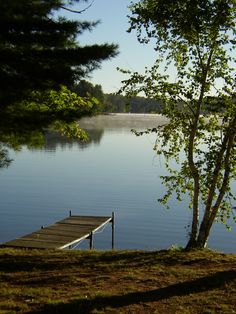 a dock sitting on the side of a lake next to a tree and some water