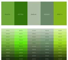 the color chart for different shades of green