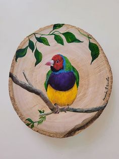 a colorful bird sitting on top of a tree branch