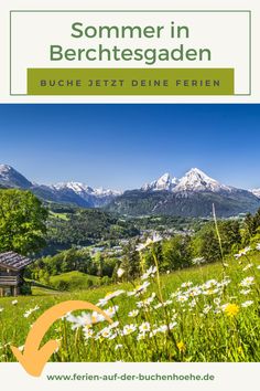 the cover of a book with mountains in the background and flowers growing on the grass