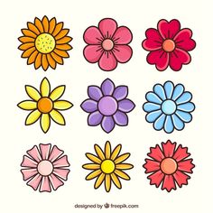 six different colored flowers on a white background