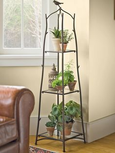 three tiered plant stand with potted plants