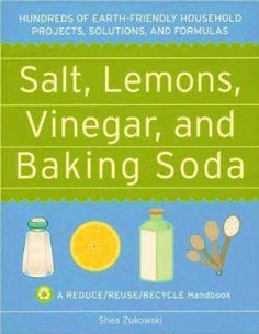 the book cover for salt, lemons, vinegar and baking soda