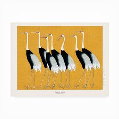 four black and white birds are standing in a row on a yellow background with the words,