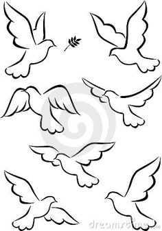 several different birds flying in the air