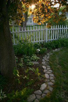 a white picket fence in front of a tree