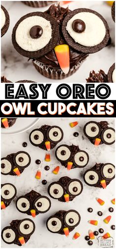 easy oreo owl cupcakes with candy on the top and an owl in the middle