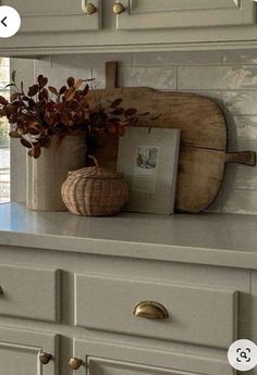 a potted plant sitting on top of a wooden shelf next to a mirror above a dresser