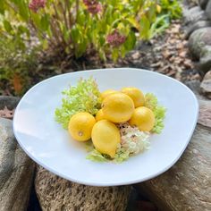 a white plate topped with lemons and lettuce on top of a rock