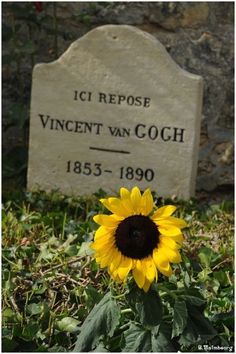 a sunflower in front of a grave marker with the name of an unknown person