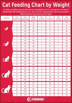 the cat feeding chart is shown in red