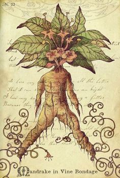 a drawing of a root with flowers on it's head and roots in the middle