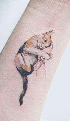 a cat is sitting on top of a woman's arm with her legs crossed