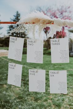 a wedding seating plan hanging from a line in the grass with feathers attached to it