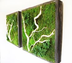 three pieces of wood with moss growing on the sides and white branches in the middle