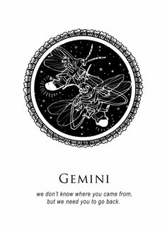 a black and white drawing of a bee with the words gemini on it