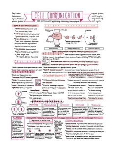 a pink and black diagram with words on it that read cell ediminations