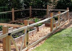 an outdoor vegetable garden with wooden posts and fencing