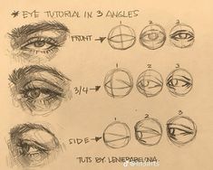 the steps to draw an eye with different angles and shapes for each individual's eyes