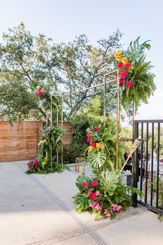 an outdoor area with plants and flowers on it