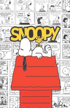 snoopy is sitting on top of a red roof with the words snoopy above it