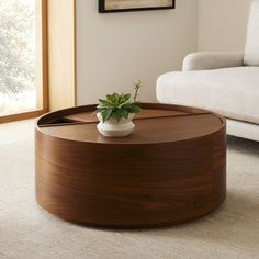 a round coffee table with a potted plant on it in front of a couch