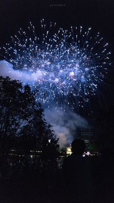 fireworks are lit up in the night sky above trees and people looking at them from below