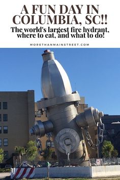 a fire hydrant in front of a building with the words, a fun day in columbia sc