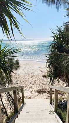 stairs lead down to the beach with palm trees