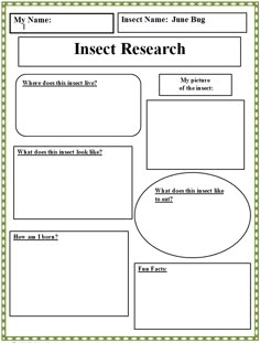 an insect research worksheet with the name and description for each subject in this project