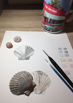 some seashells are sitting on a piece of paper next to a coffee cup