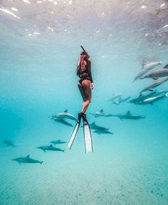 a woman is in the water surrounded by dolphins and holding skis with both hands